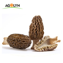 Natural organic  Dried  Black/ Brown  Raw Morel